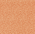 Love Struck 2285-34 Peach Pebbled Path by Kim Diehl