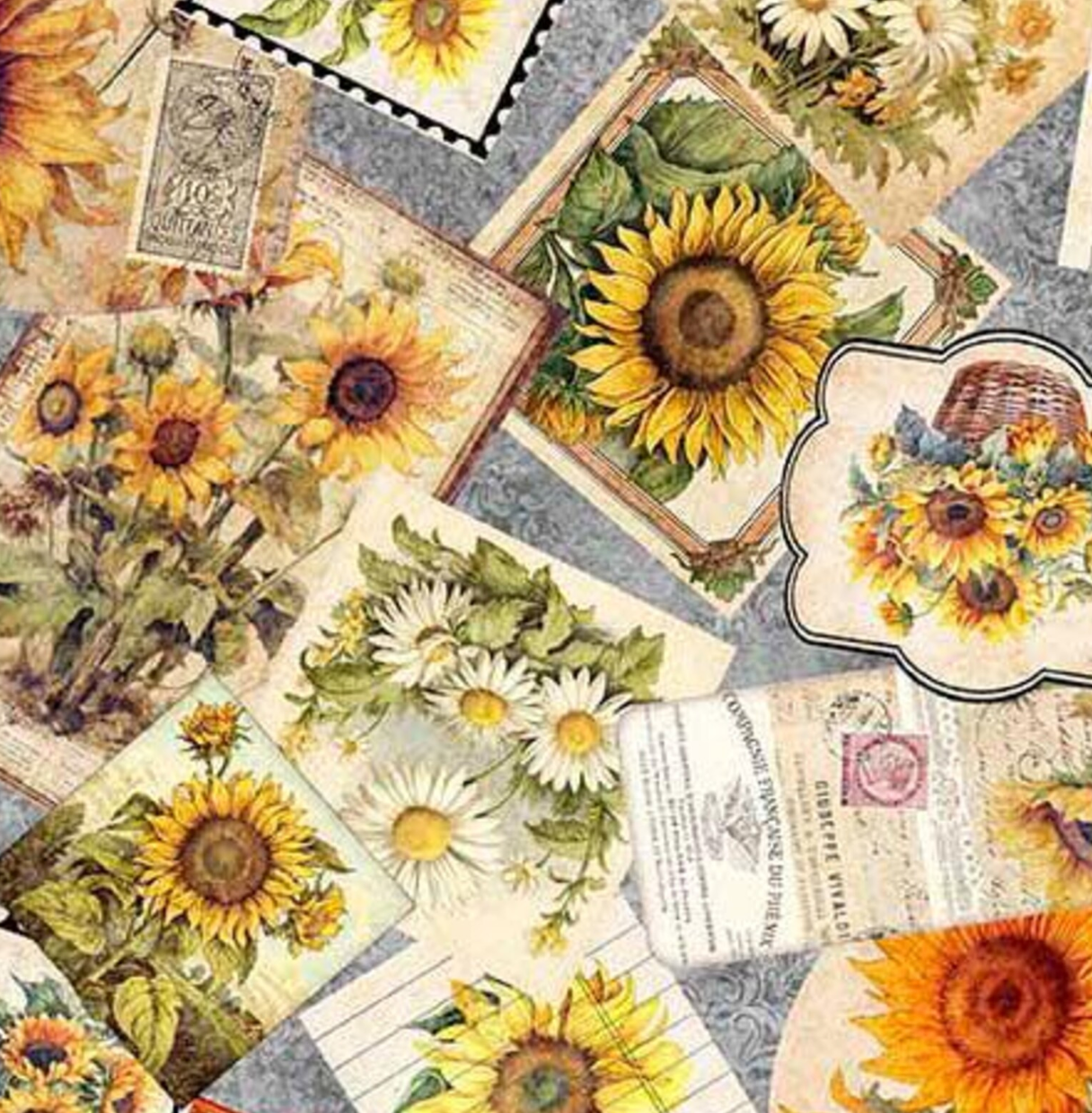 Sunflower Serenade Orange by MCG