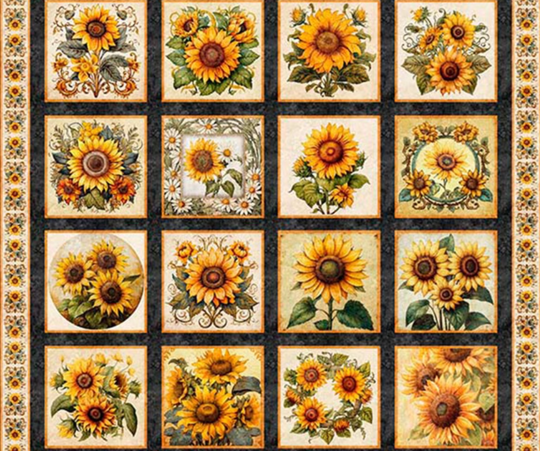 Sunflower Serenade Charcoal by MCG