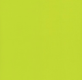 Confetti Cottons in Riley Lime by Riley Blake Designs