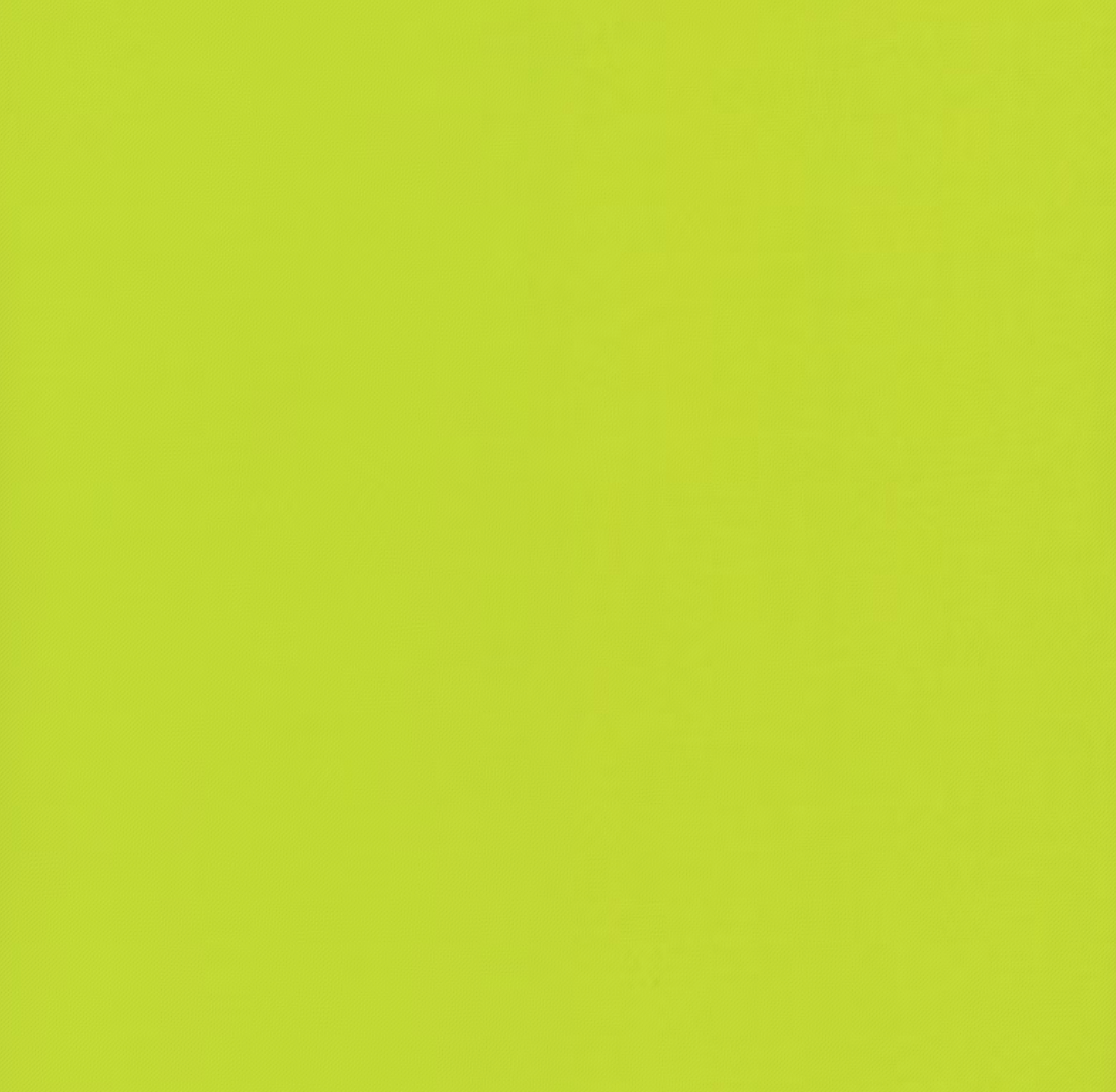 Confetti Cottons in Riley Lime by Riley Blake Designs