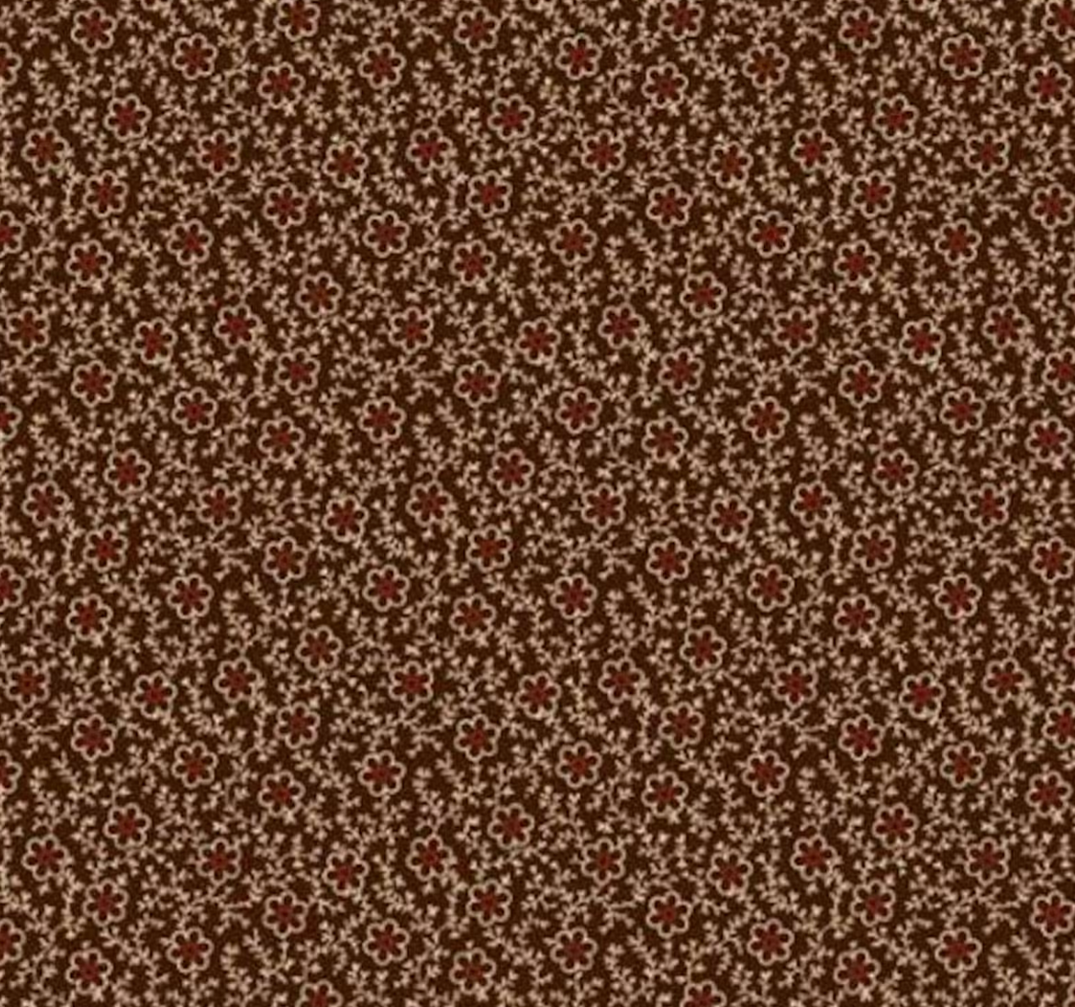 Paula's New Companions in Brown by Paula Barnes for Marcus Fabrics