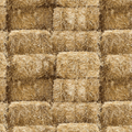 Farmall "Barn Straw" by A.E Nathan