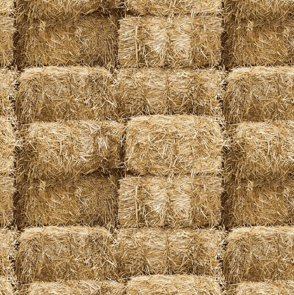 Farmall "Barn Straw" by A.E Nathan