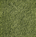 Farmall "Grass" by A.E Nathan