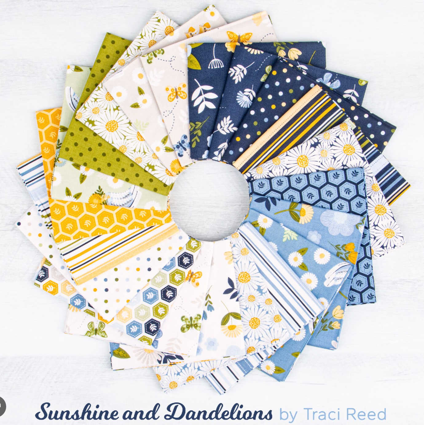 Sunshine and Dandelions 2.5" Strip Roll (Jelly Roll / Rolie Polie) by Riley Blake (RP-17920-40) |