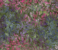 Expressions Batik Garden Party BT23292-327 by Riley Blake