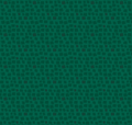 Chromatics Stepping Stone Pines by Free Spirit