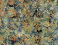 Timeless Treasures Tonga Batik Tiger Lily Moss 100% Cotton